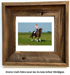 horse trail rides near me in Ann Arbor, Michigan